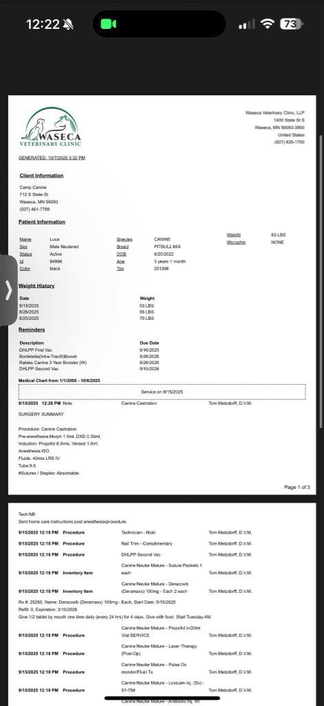 Enlarge Luca, a Adoptable mixed breed in Owatonna, MN image 2/4
