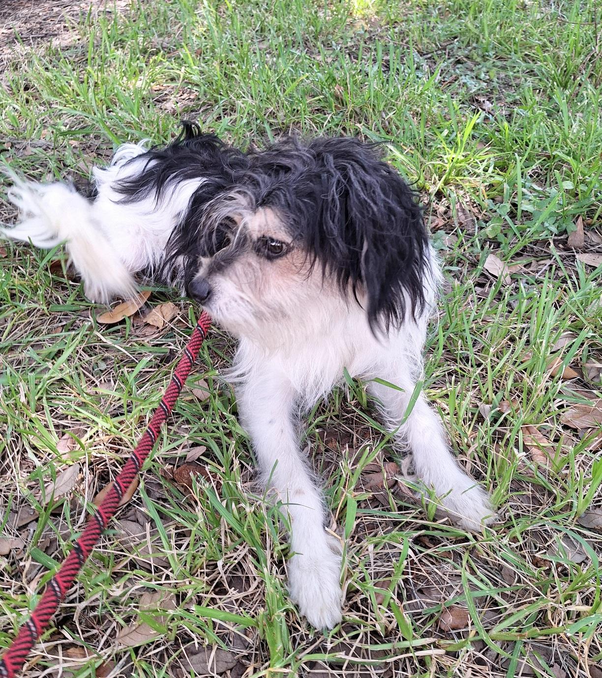 Jabari Mvt thumbnail 3