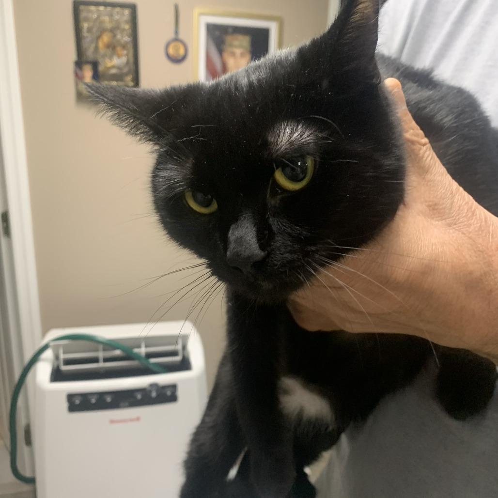 Cece — thumbnail 2