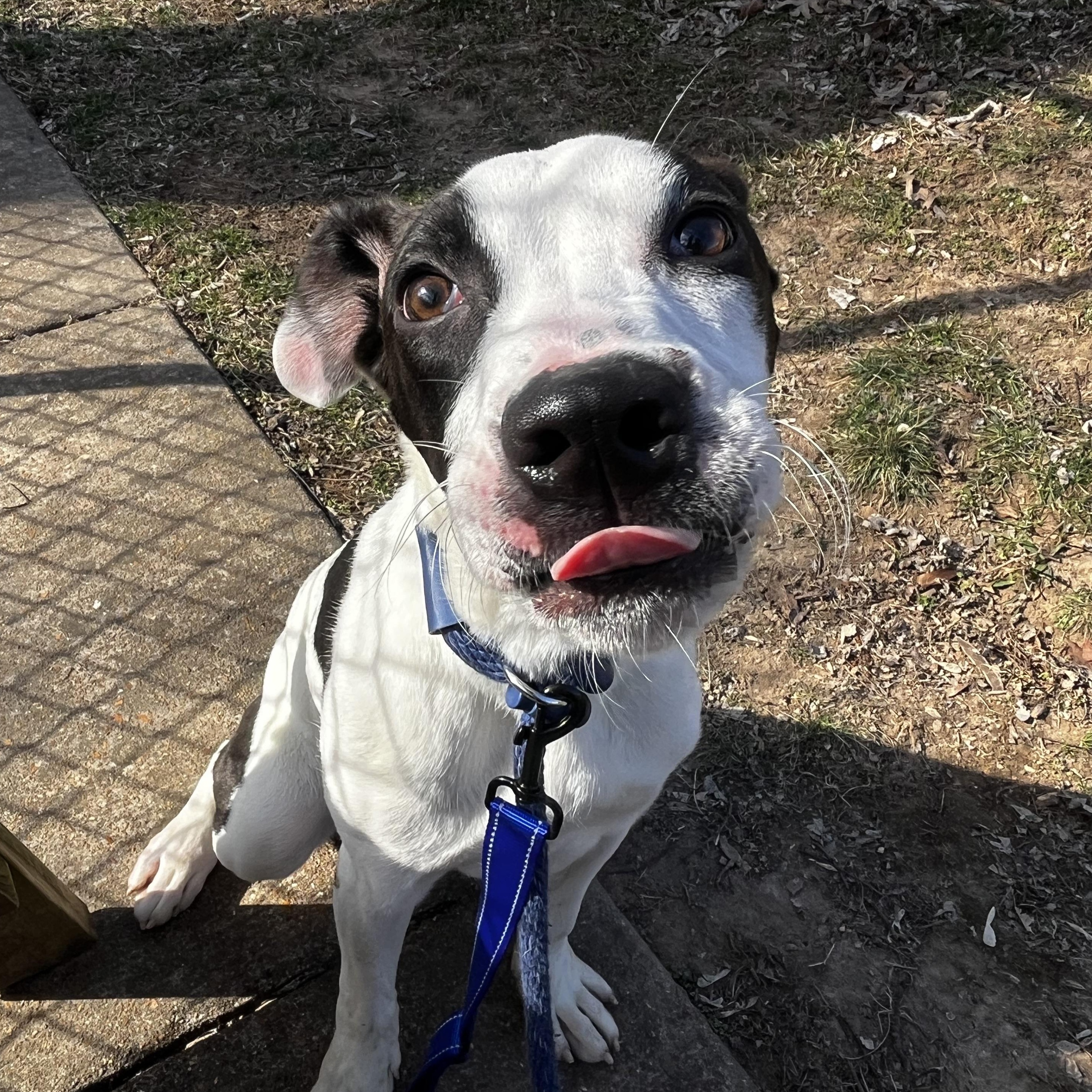 Banana — thumbnail 2