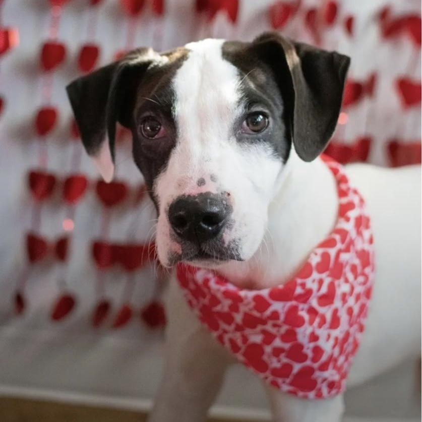 Banana — thumbnail 3