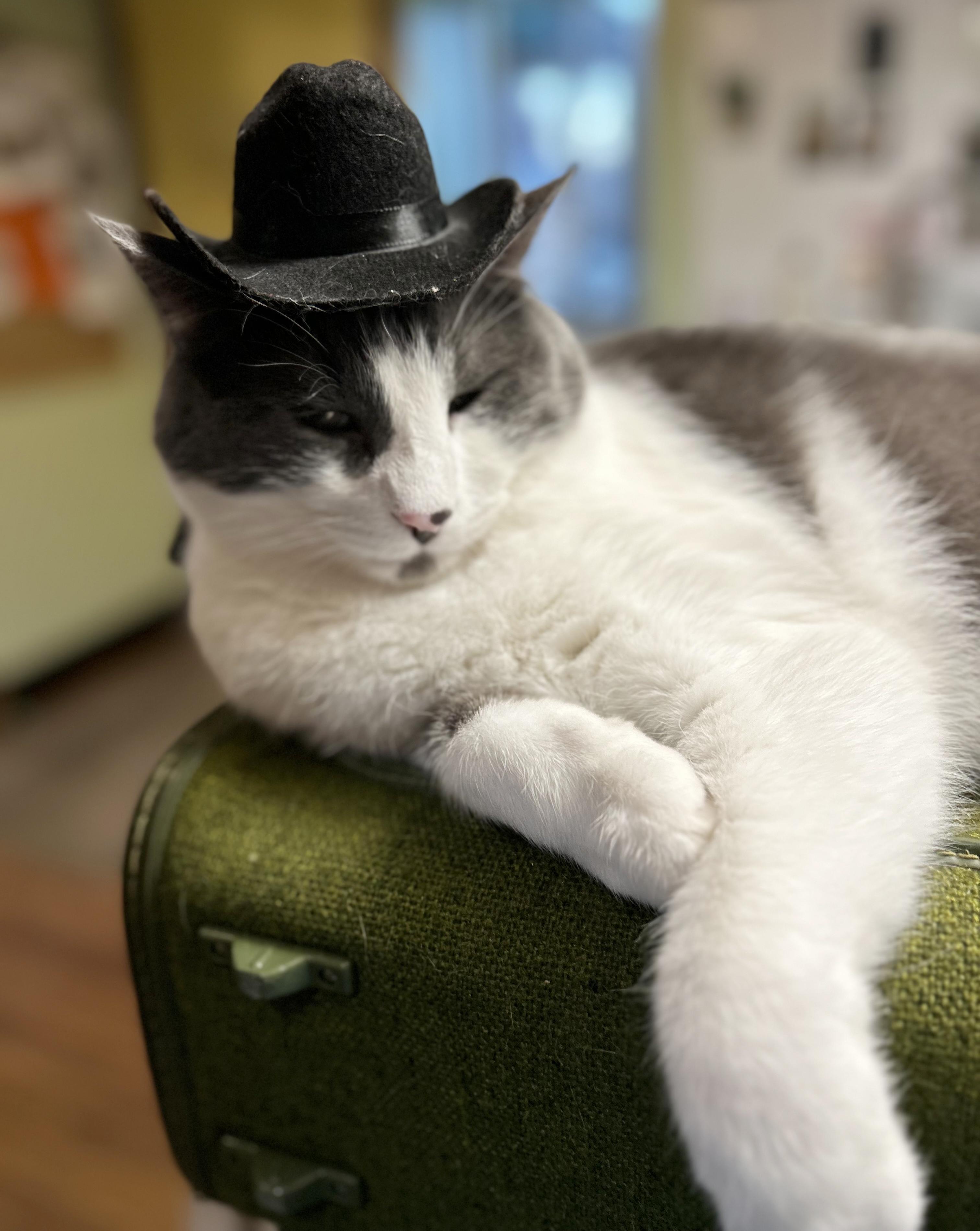 Yawney & Railee — thumbnail 5