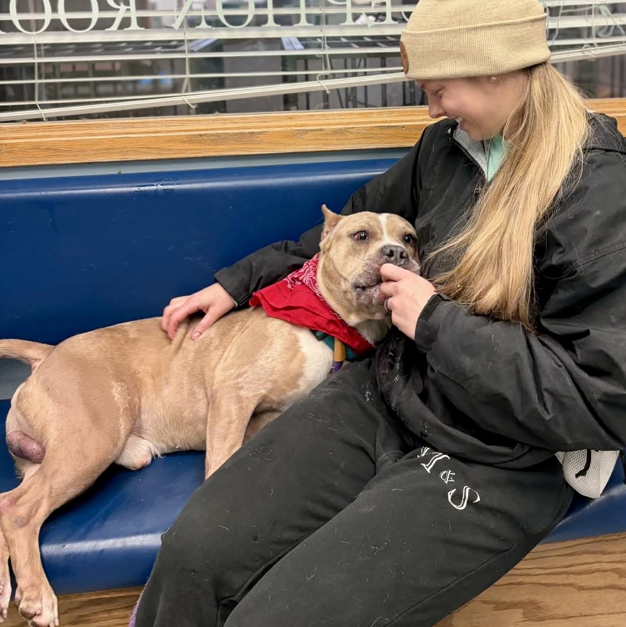 Enlarge Puma, a ADOPTABLE mixed breed in Buffalo, NY image 4/5
