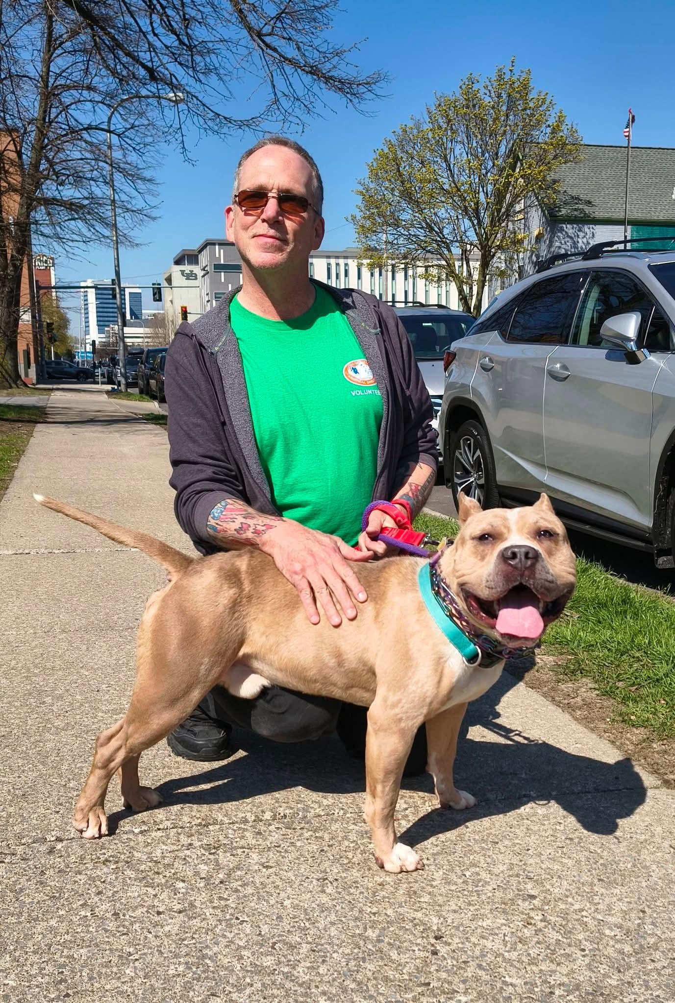 Enlarge Puma, a ADOPTABLE mixed breed in Buffalo, NY image 5/5