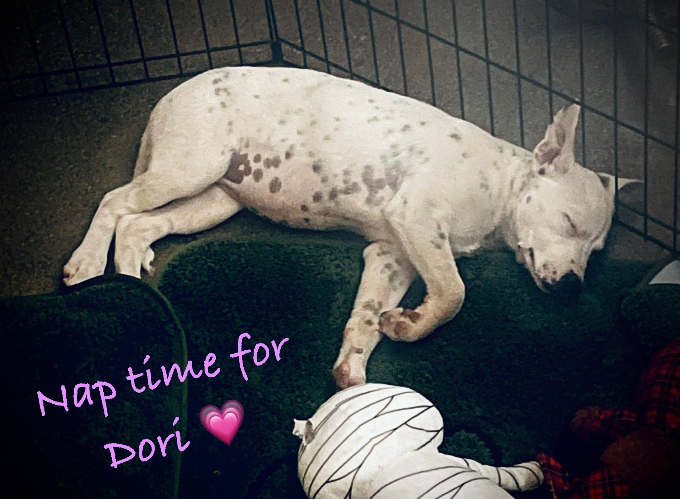 Dori thumbnail 4
