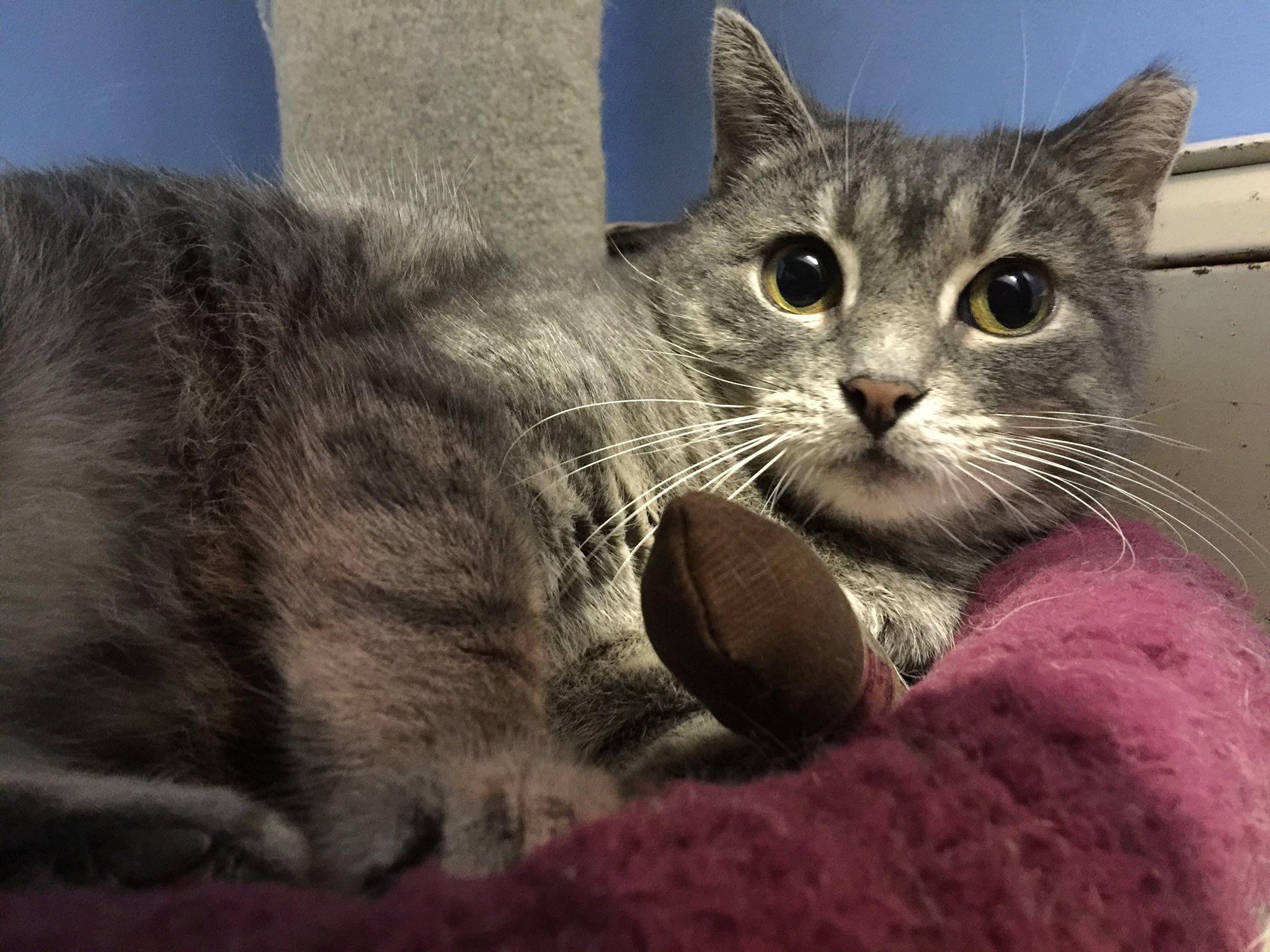 Luna photo 1