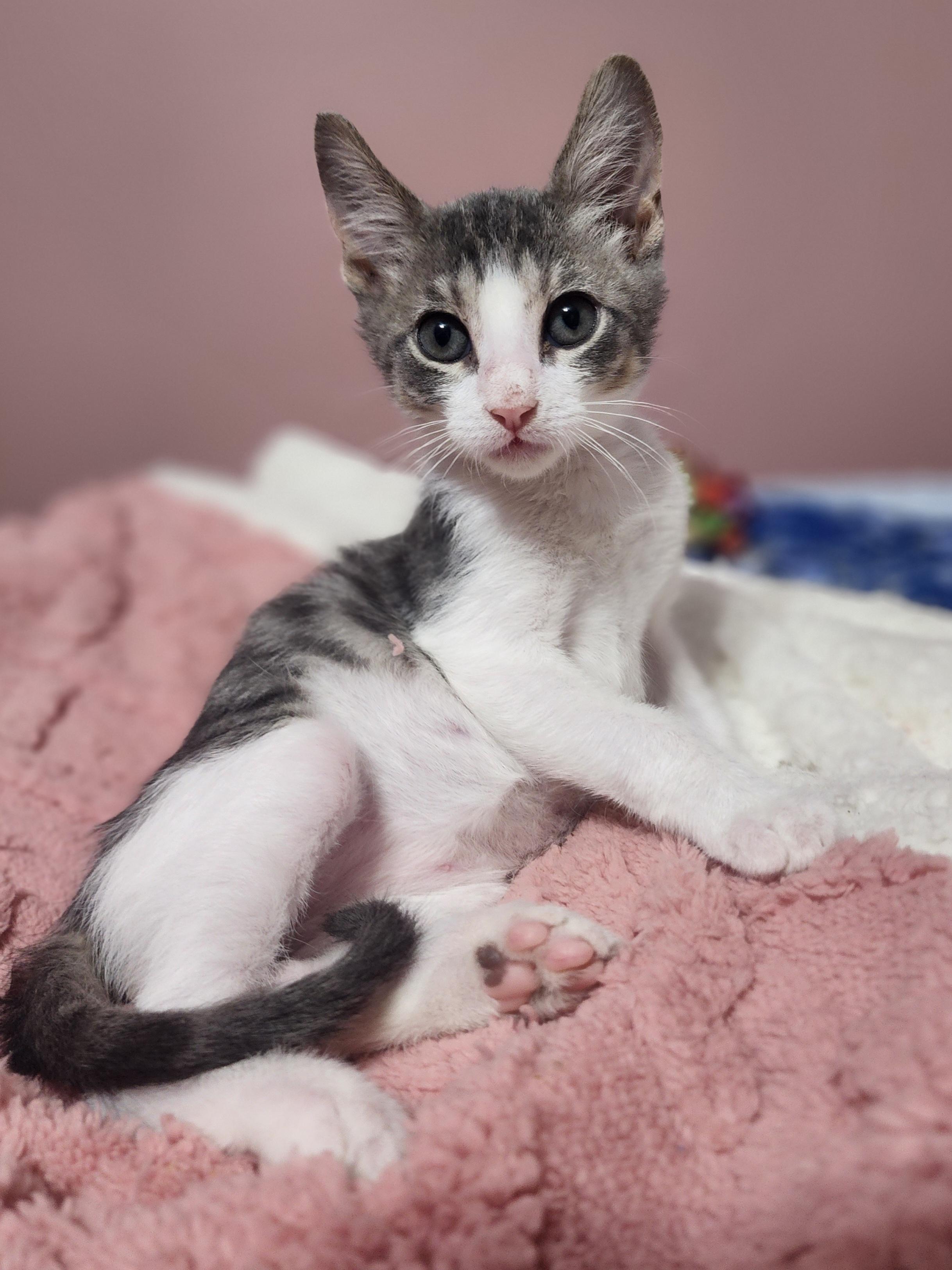 Vernon — thumbnail 2