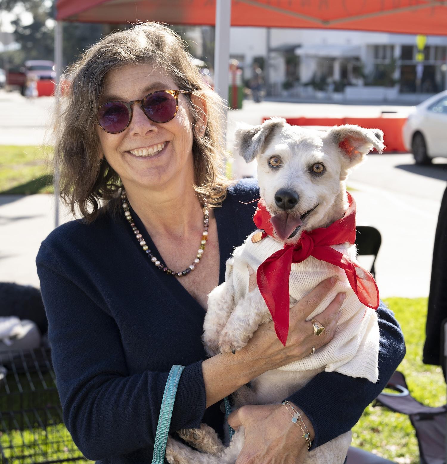 Romeo, an adoption pending mixed breed in Los Angeles, CA image 2/5