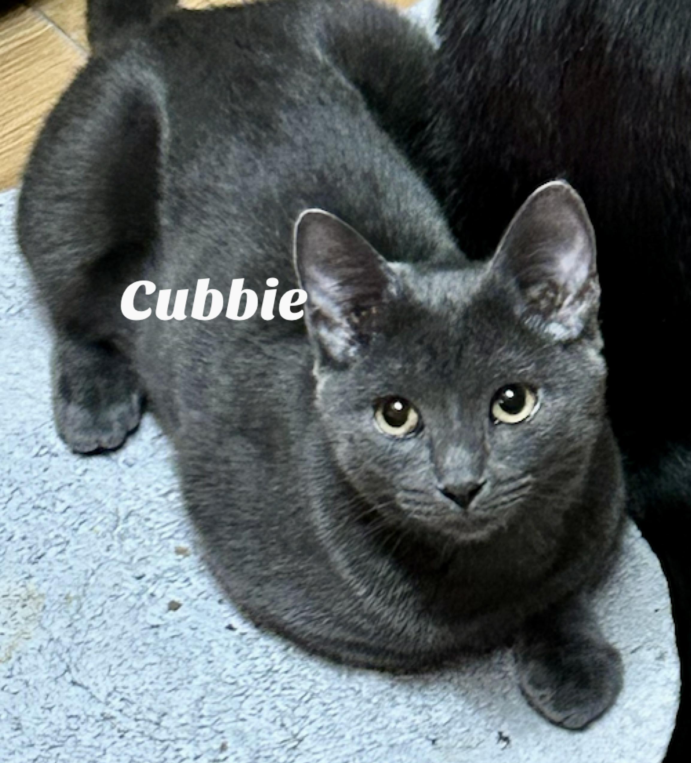 Cubbie