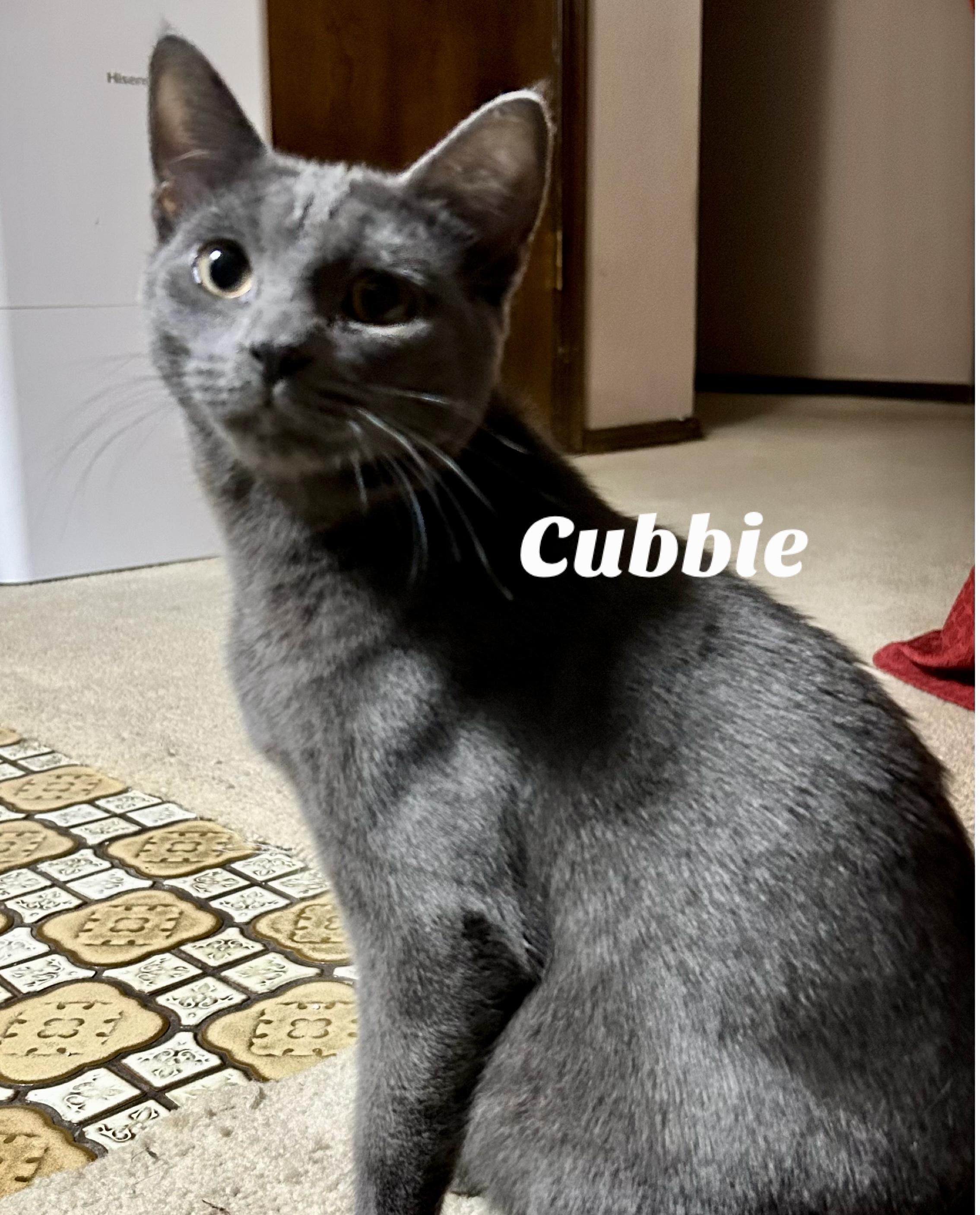 Cubbie