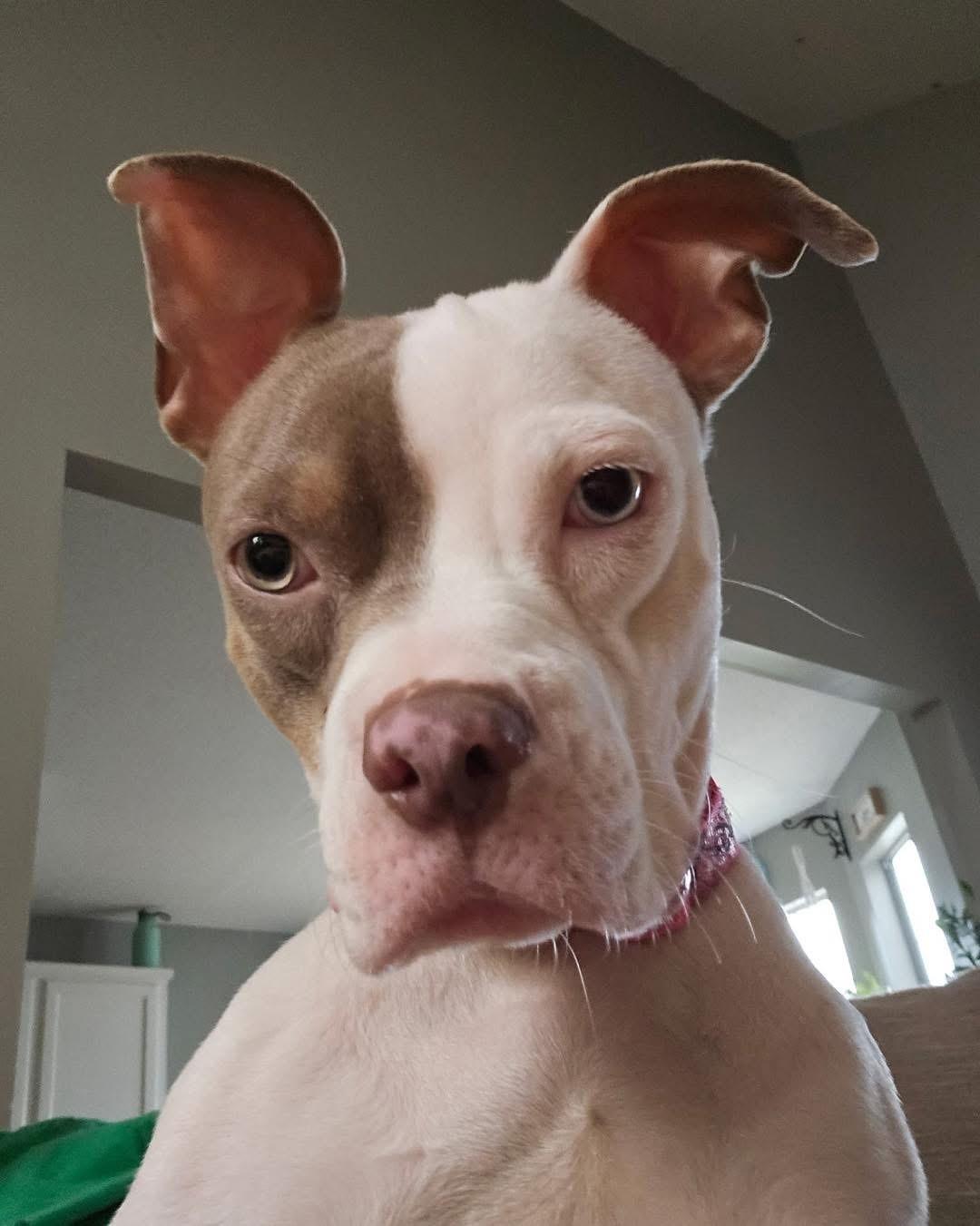Photo of Zora