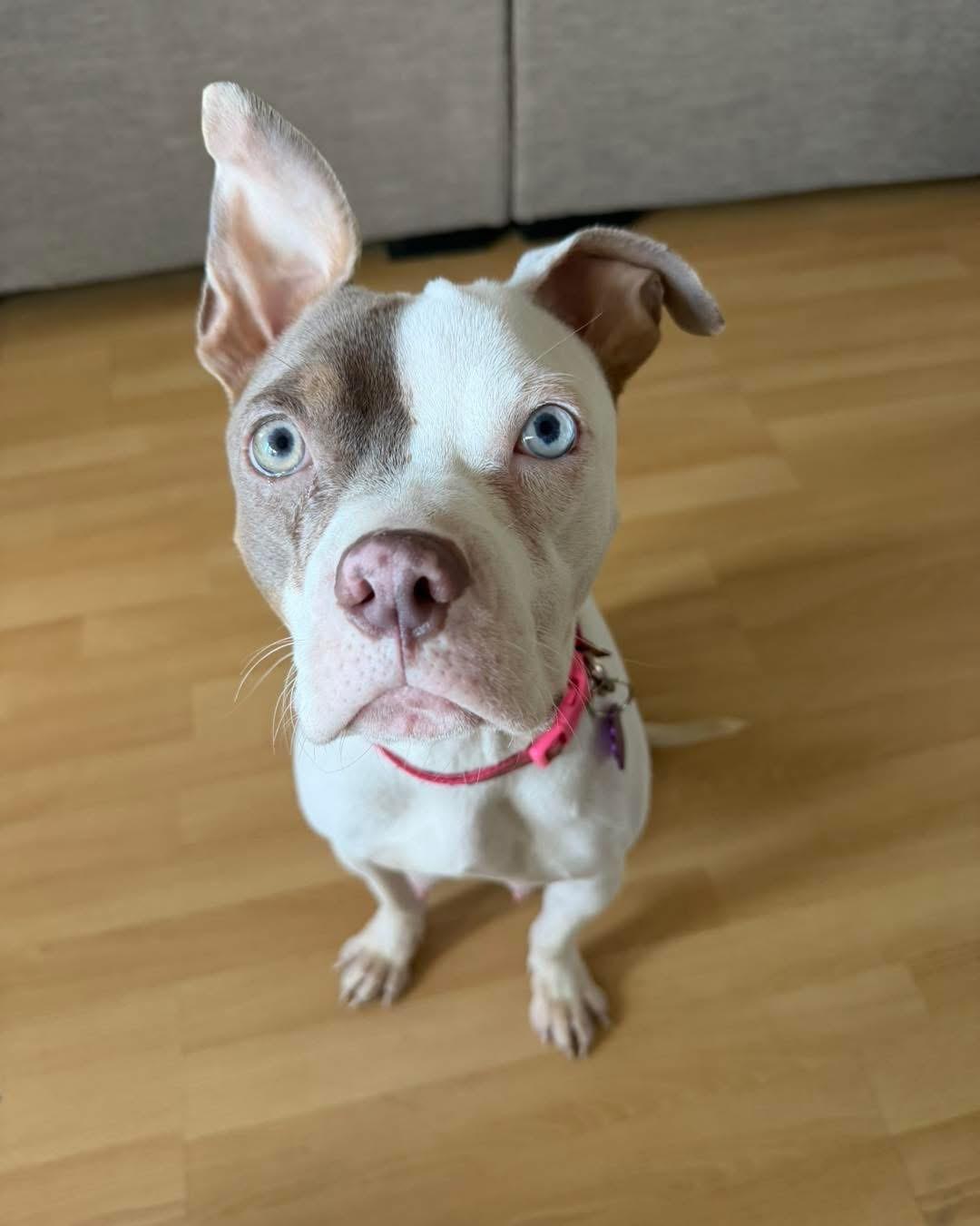 Photo of Zora