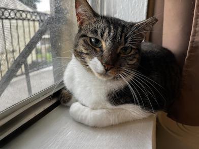 Susie — thumbnail 6