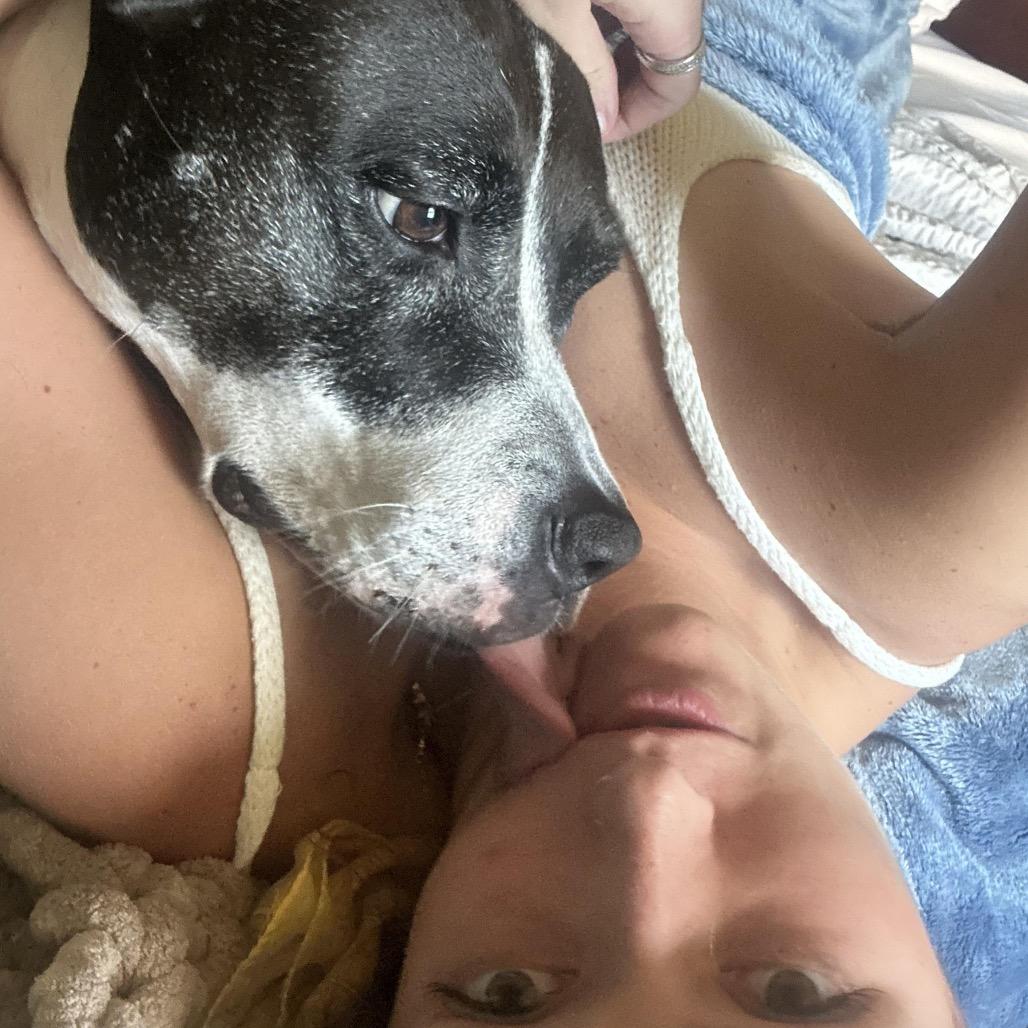 Babygirl (Reduced Rover), a Adoptable mixed breed in New Orleans, LA image 1/6