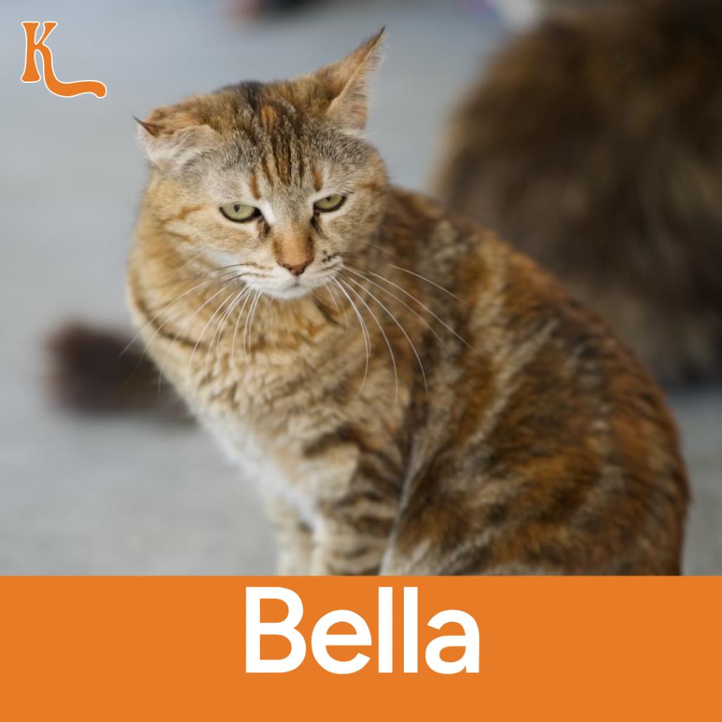 Bella
