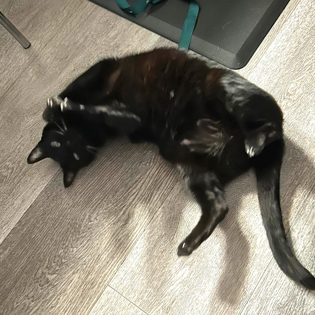 Hope — thumbnail 2