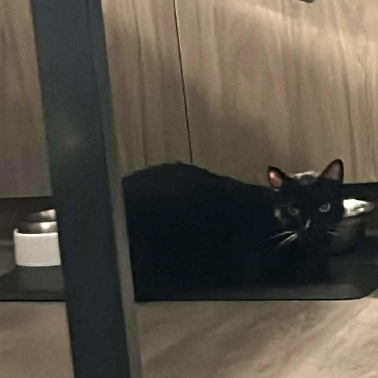 Hope — thumbnail 3