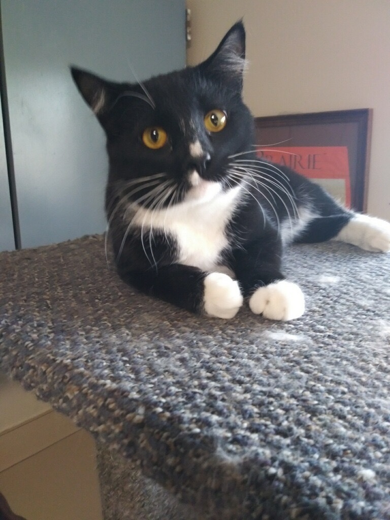 Igor photo 2