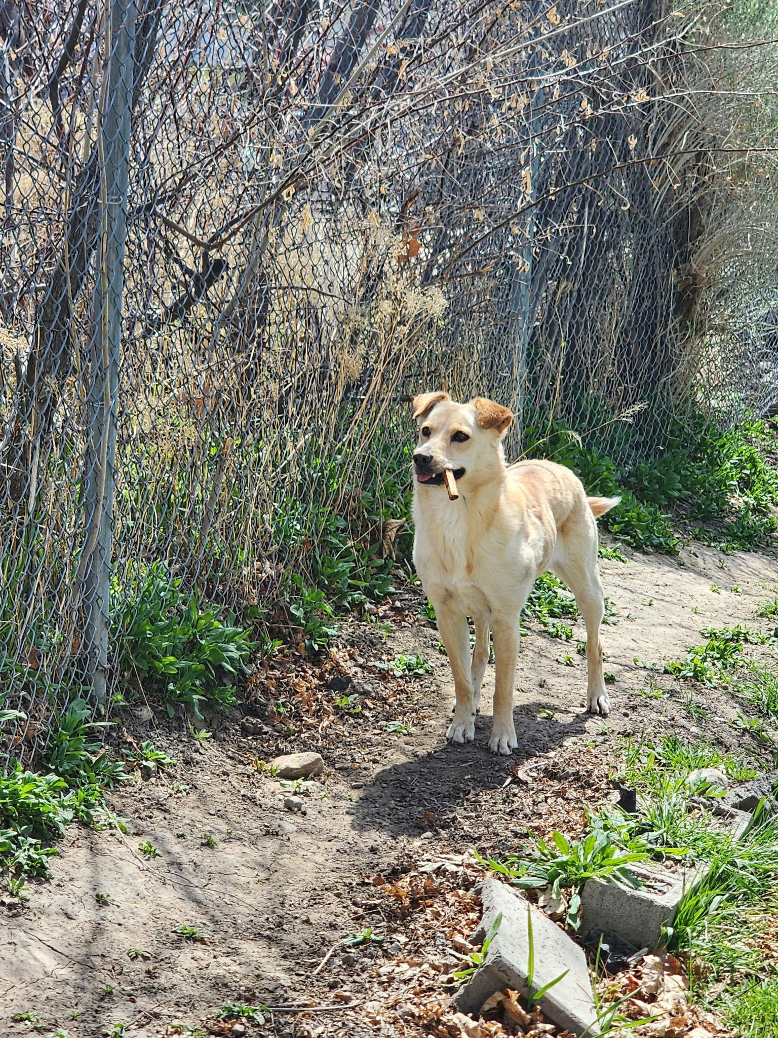 Collette — thumbnail 2