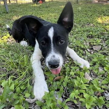 Maverick thumbnail 2