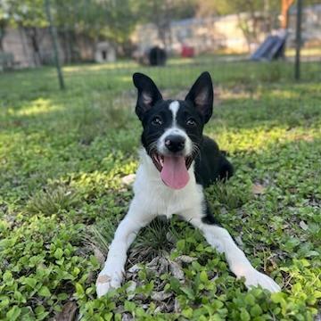 Maverick thumbnail 3