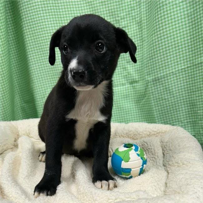 Freya Louisiana thumbnail 2