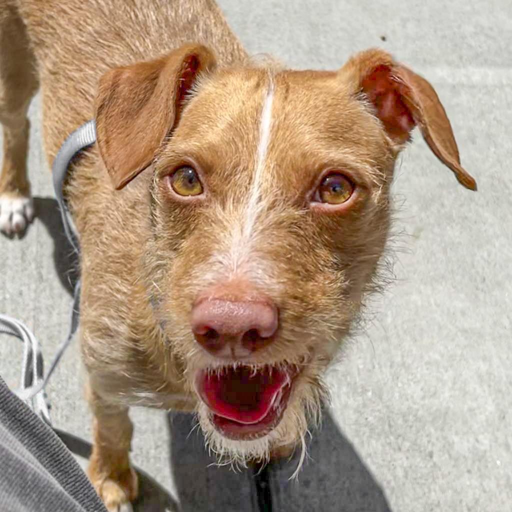 ROSCO — thumbnail 2