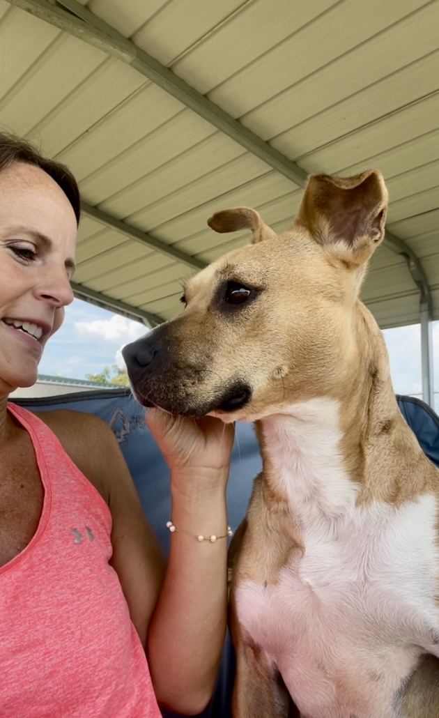 Promise — thumbnail 2