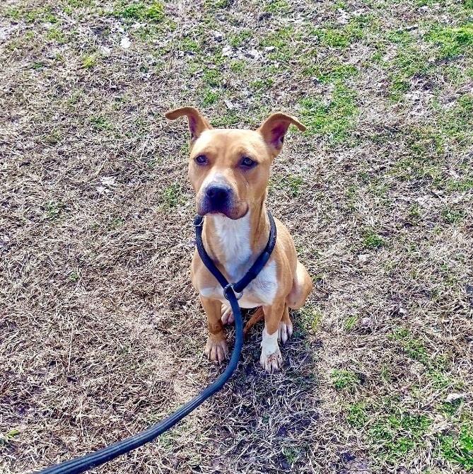 Promise — thumbnail 3