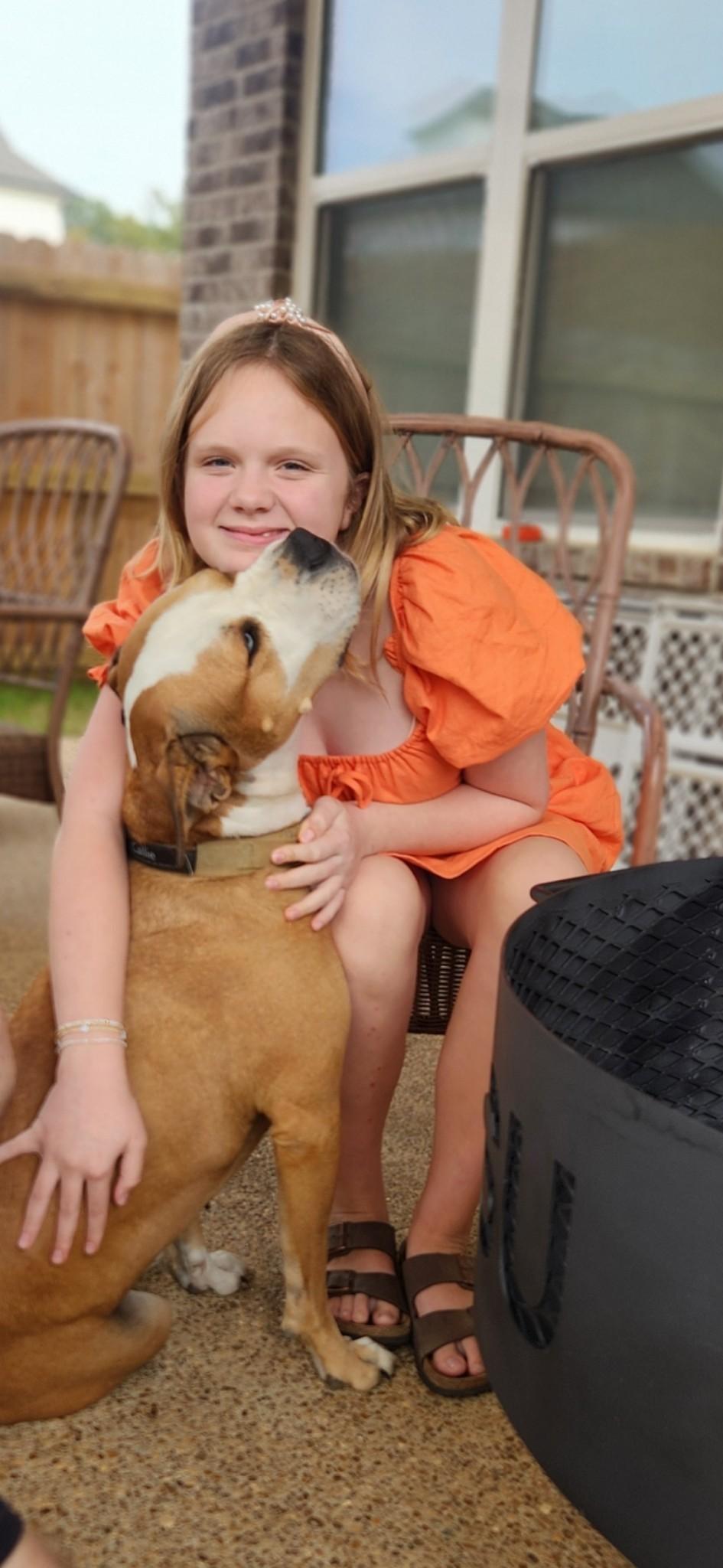 Callie, a Adoptable American Bulldog in Dyersburg, TN image 3/5