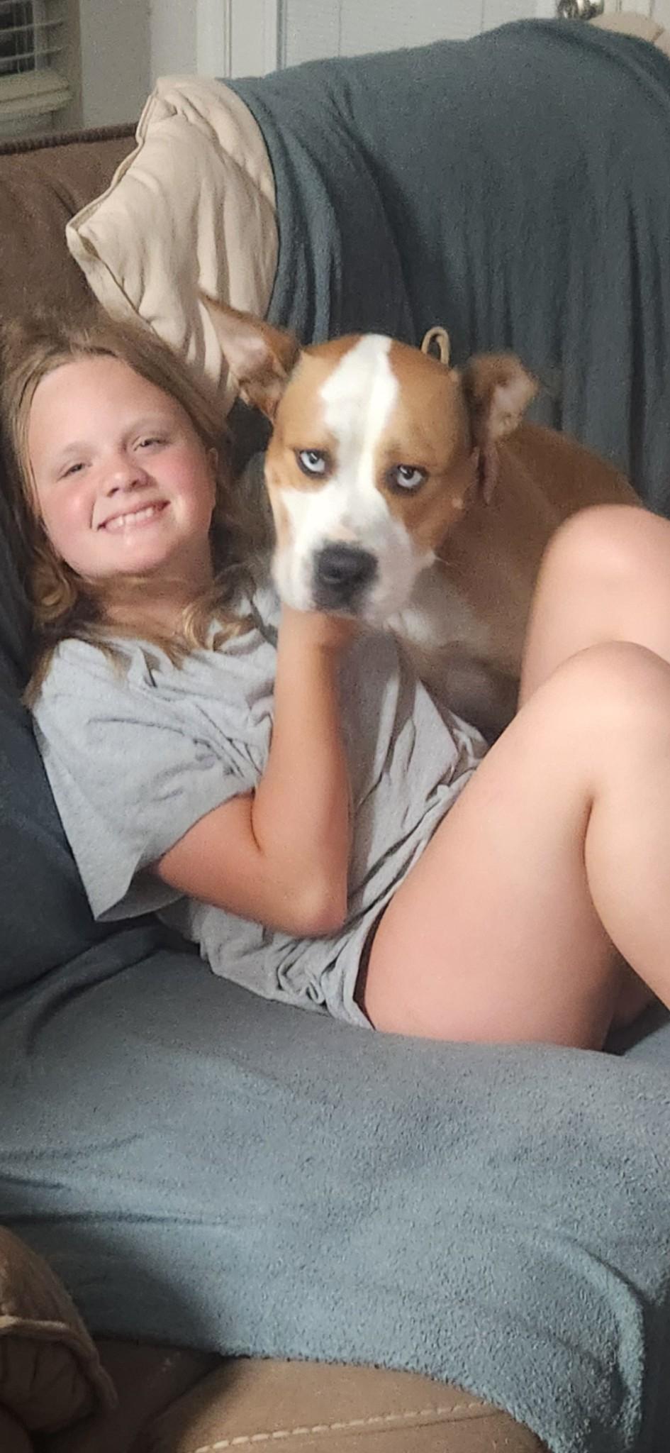 Callie, a Adoptable American Bulldog in Dyersburg, TN image 5/5