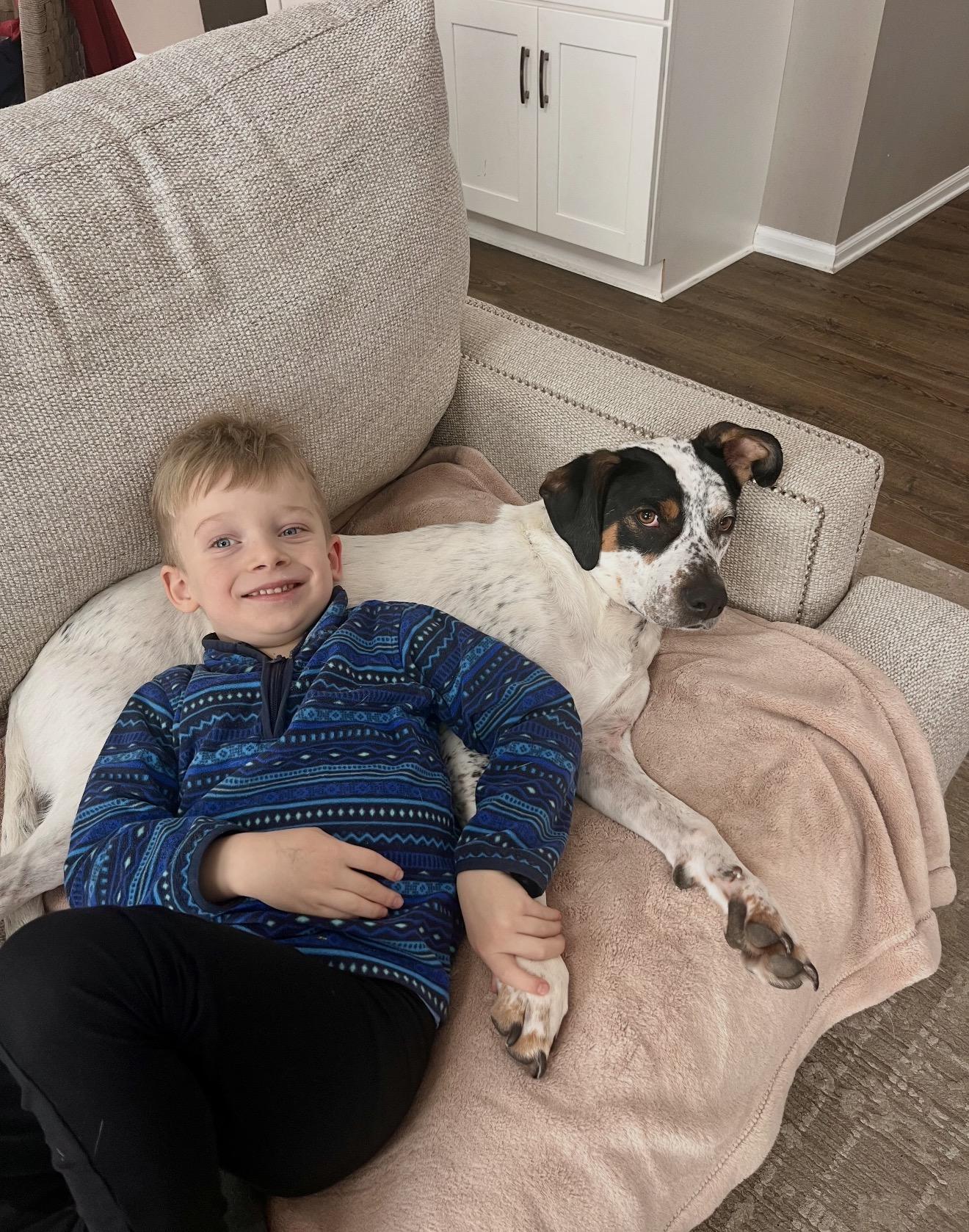 Emitt , a ADOPTABLE Coonhound in Grand Haven, MI image 3/4