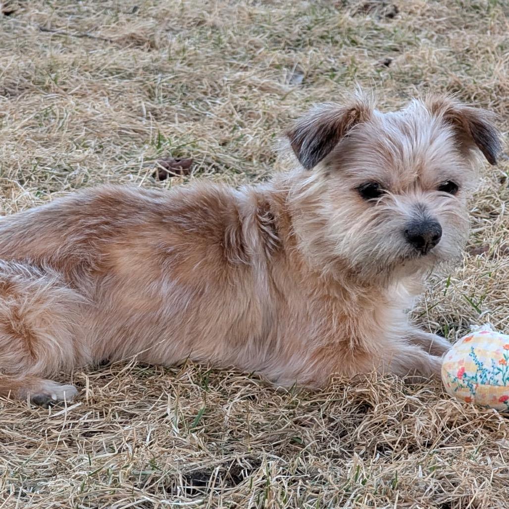 Paddington Bear — thumbnail 2