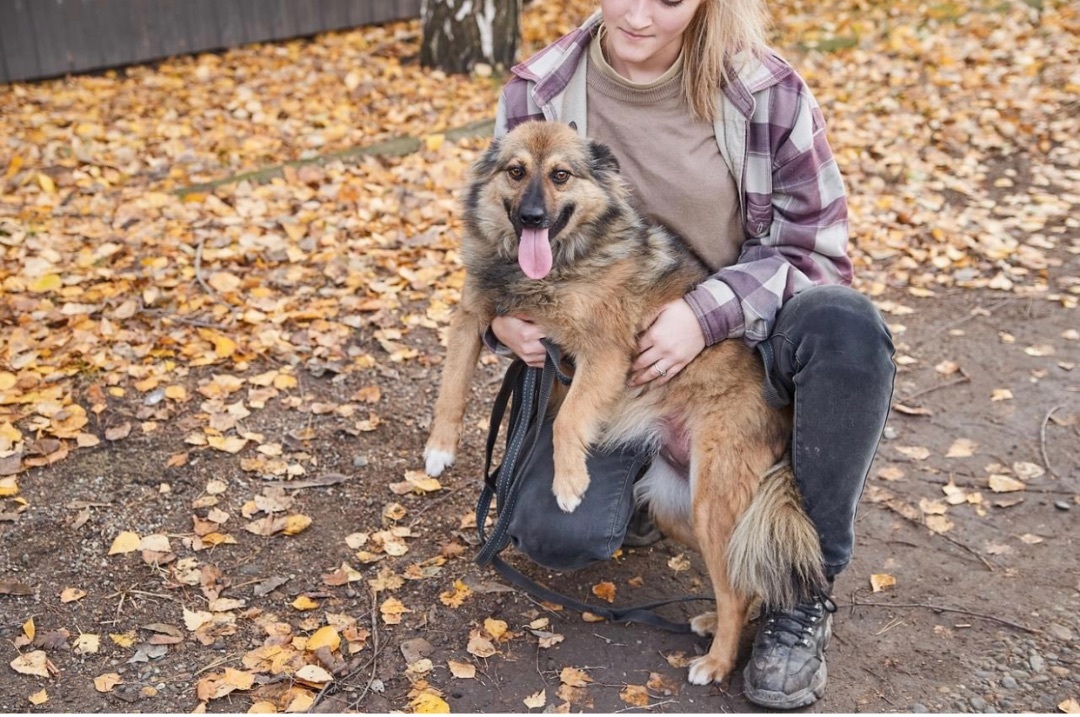 Geneva, Adopted, Young Female Mixed Breed.