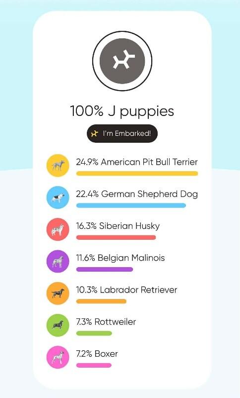 Jedi, a Adoptable mixed breed in Alma, WI image 5/6