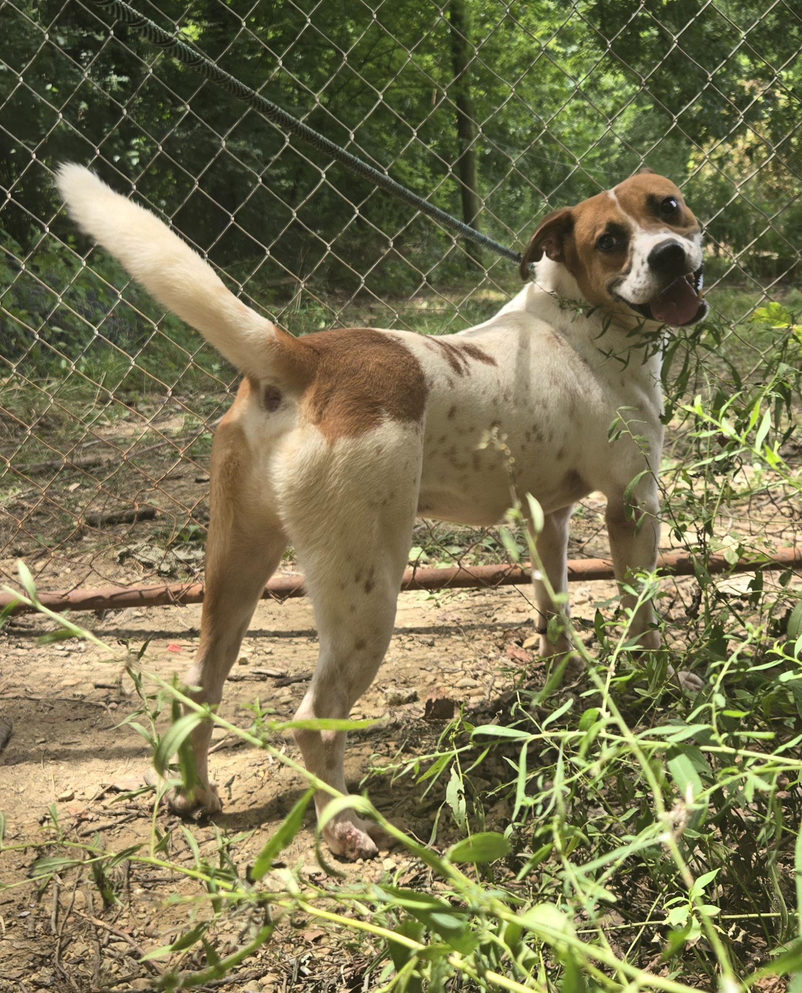 Raymond James — thumbnail 2