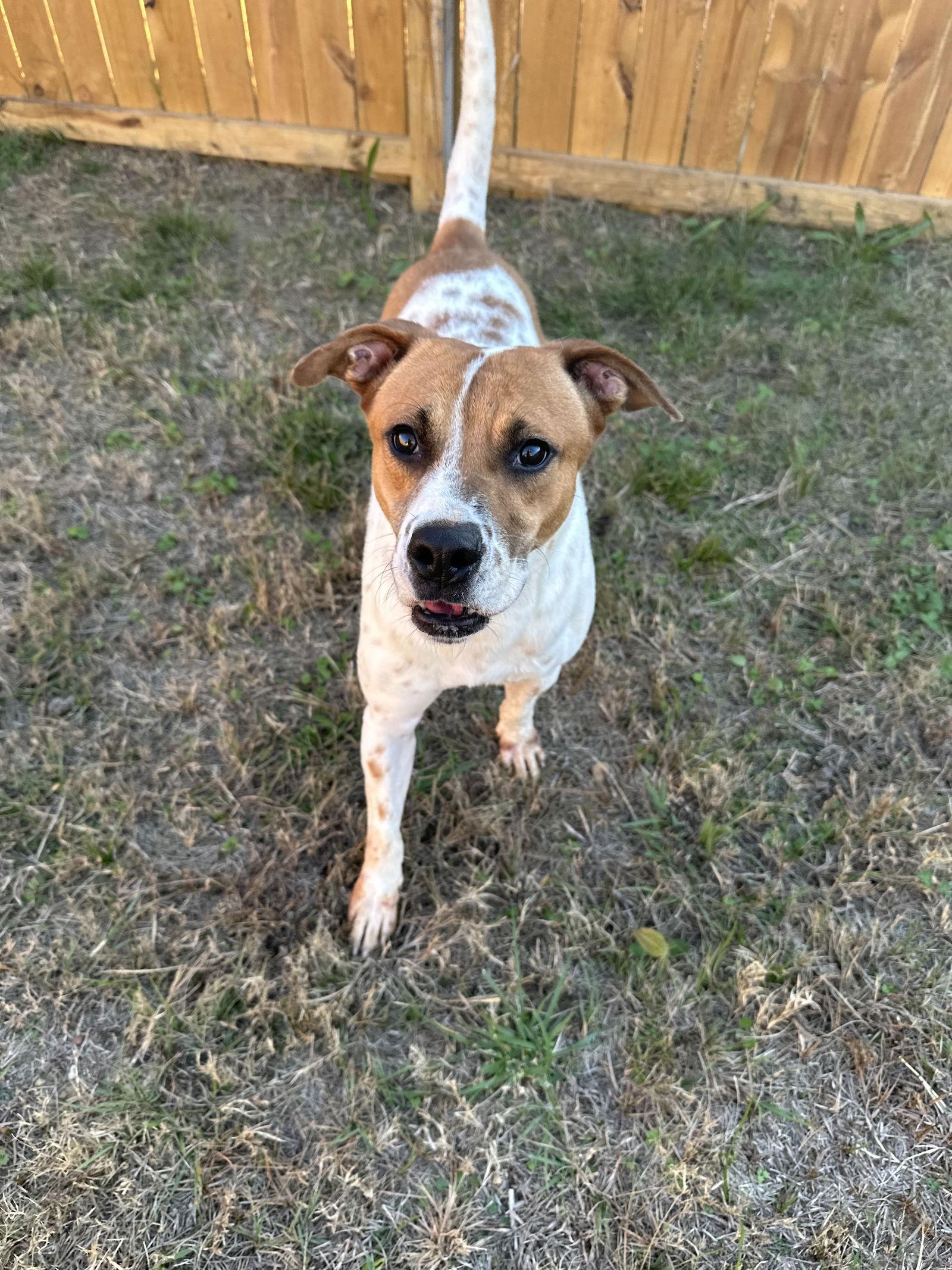 Raymond James — thumbnail 3