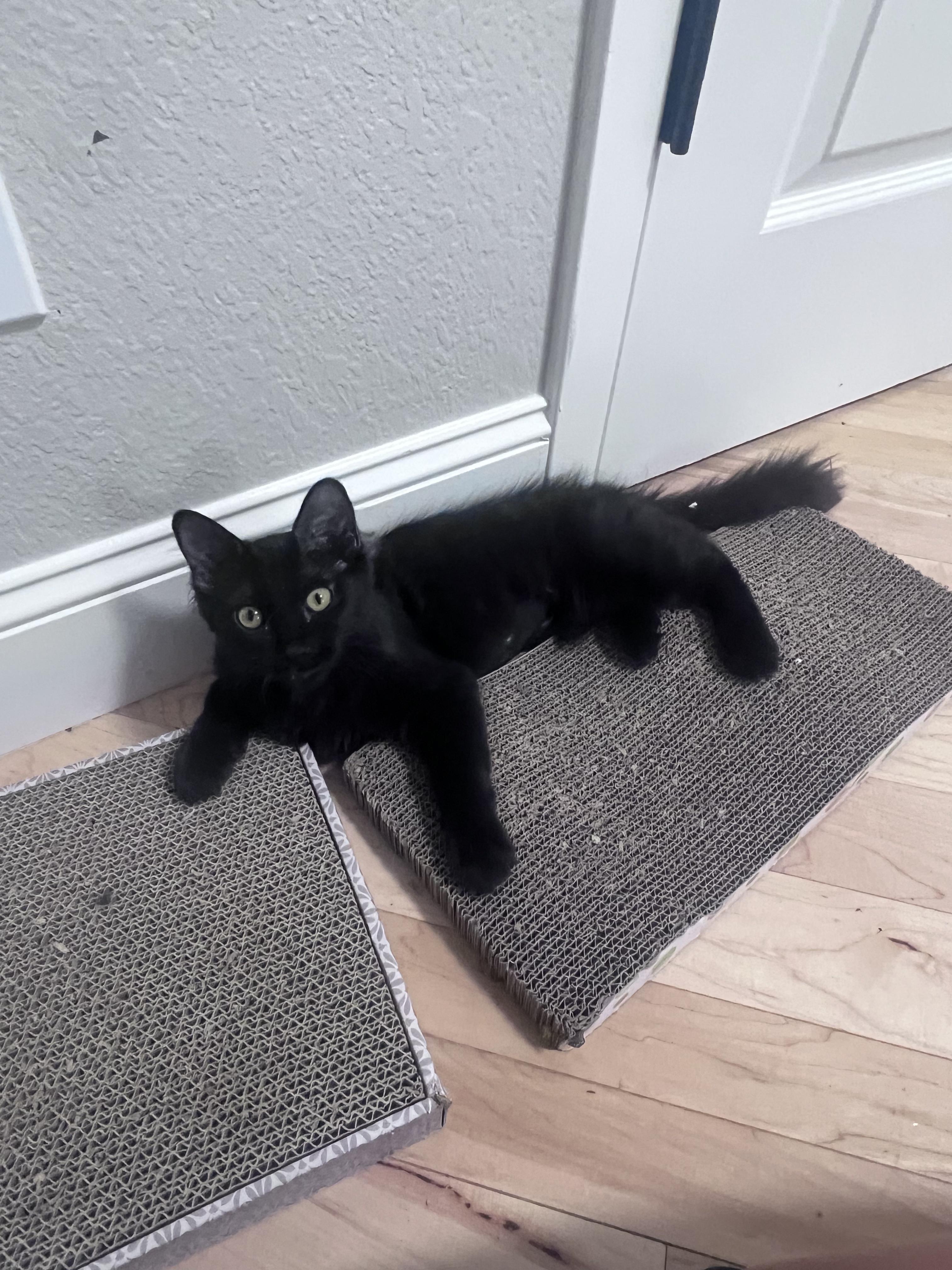 Ella