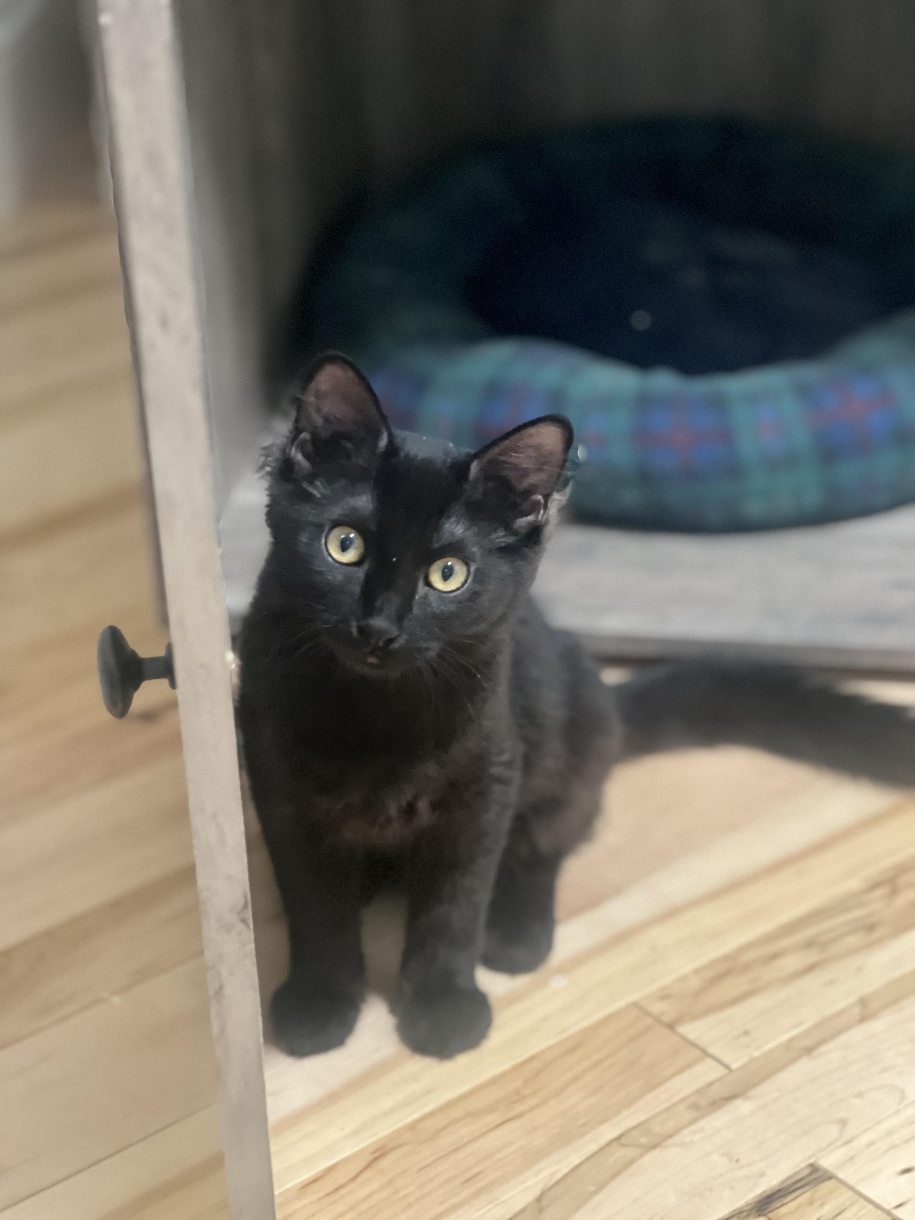 Ella