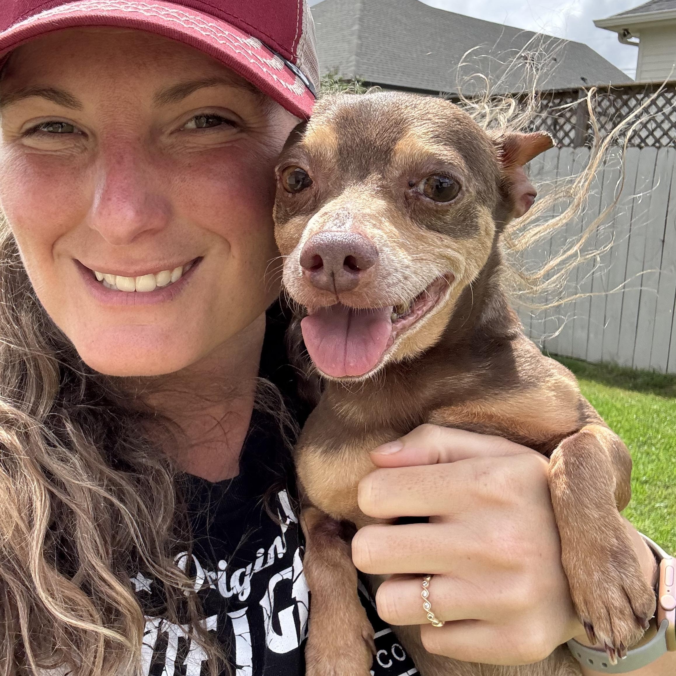 Enlarge Slippers, a Adoptable mixed breed in New Orleans, LA image 4/6