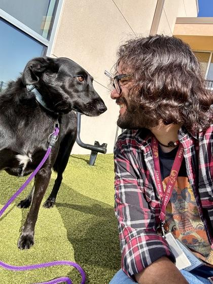 Shadow, Adoptable, Adult Female Mixed Breed & Mixed Breed.