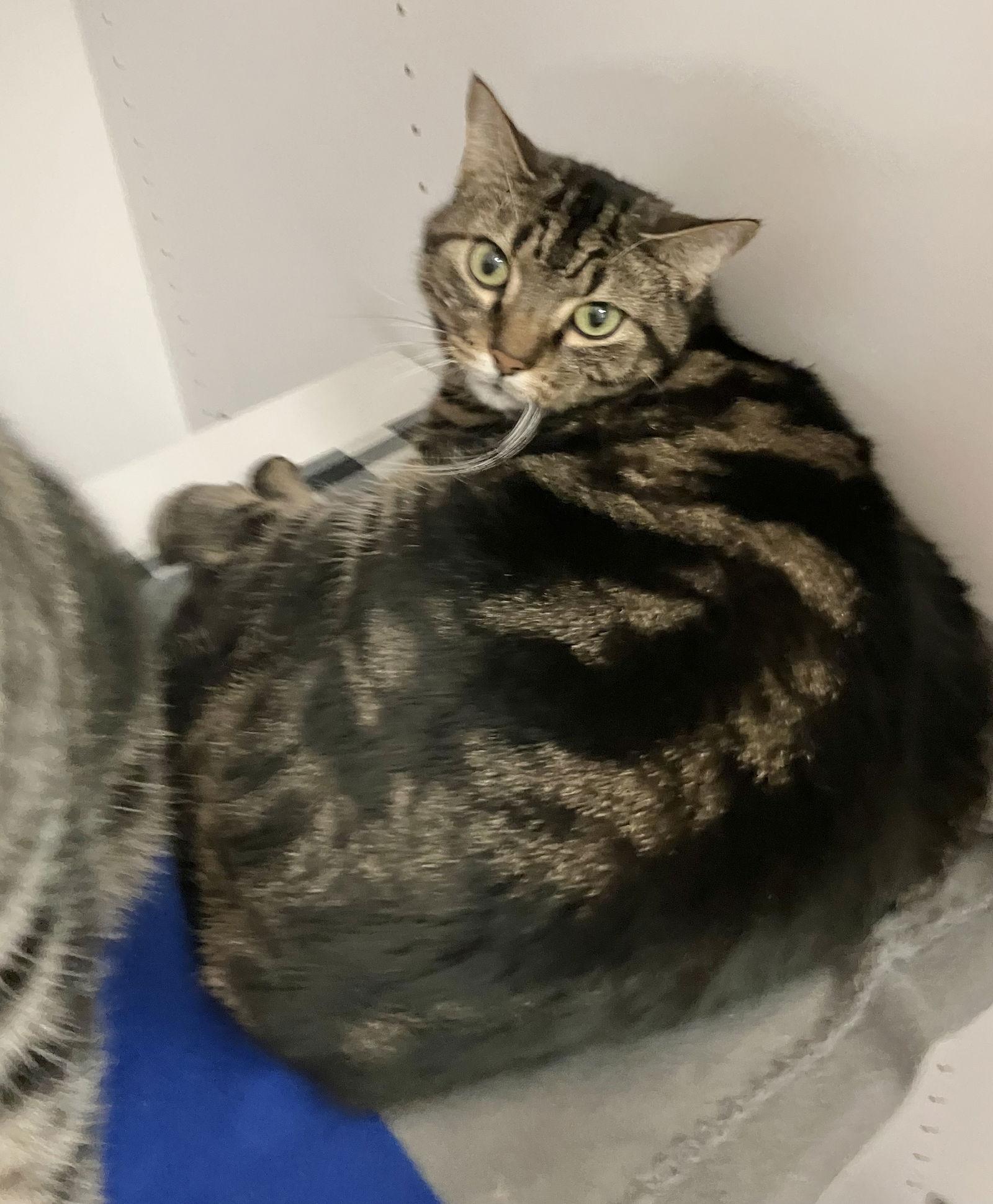 Missy  Kbc thumbnail 2