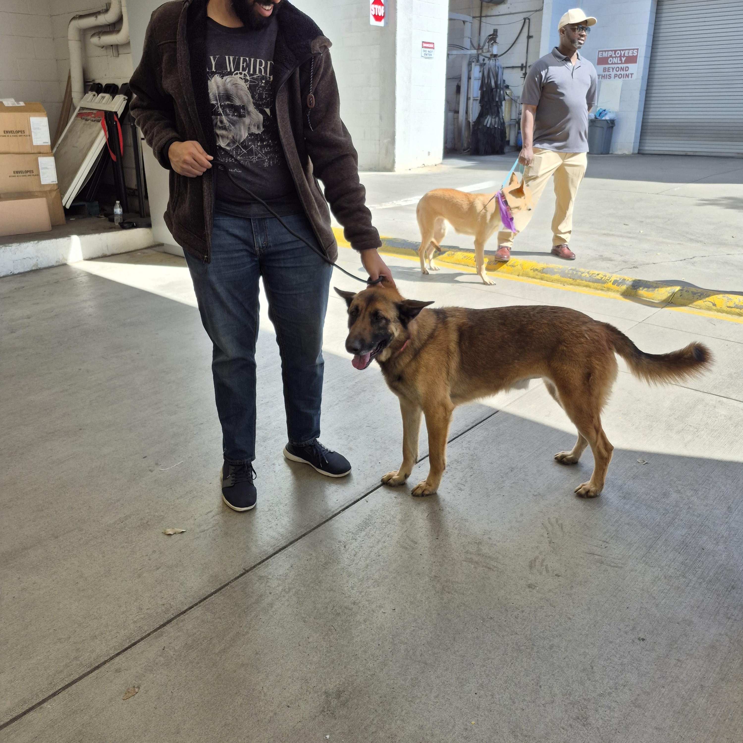 Trevor Chase loves all! Kids, dogs and cats!