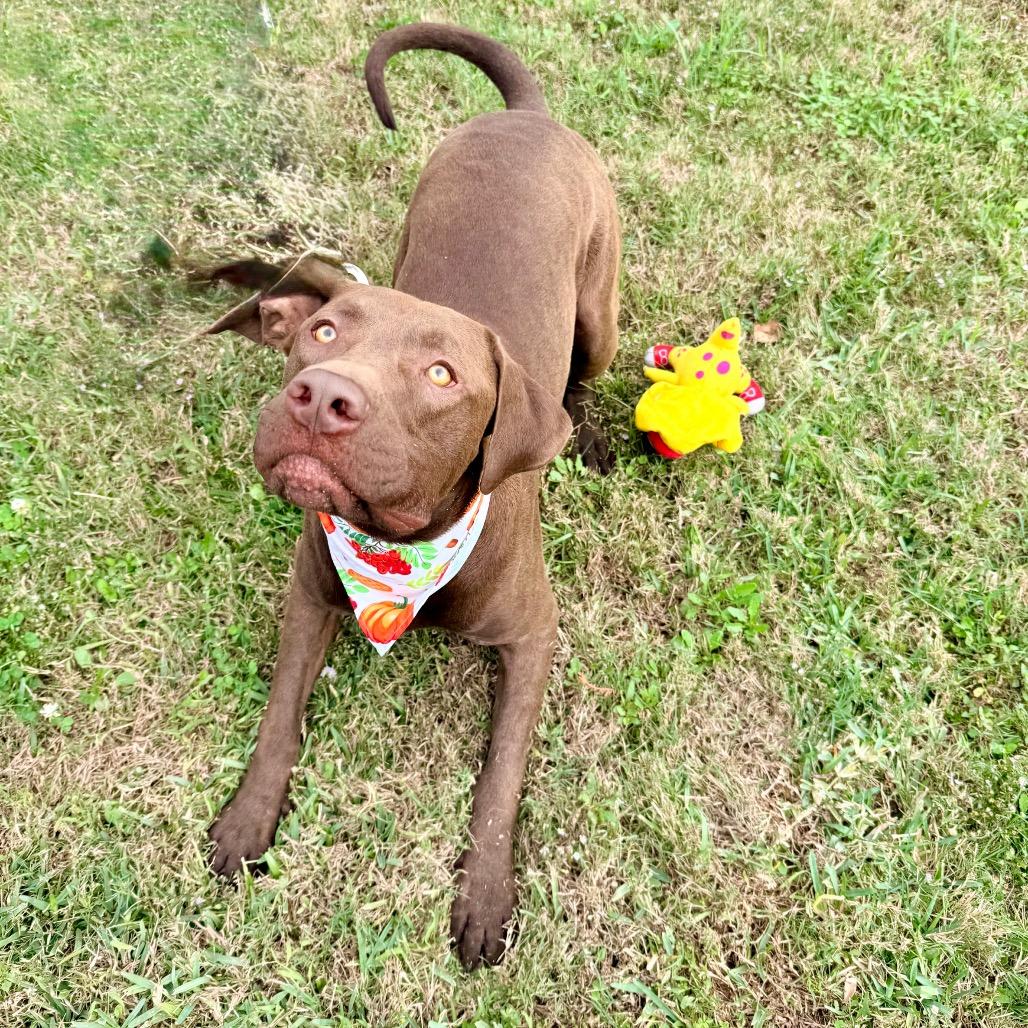 Slade — thumbnail 6