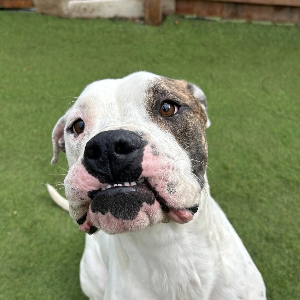 Sebastian thumbnail 4