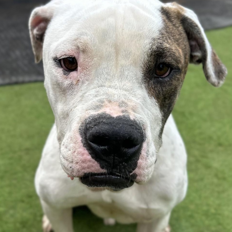 Sebastian thumbnail 5