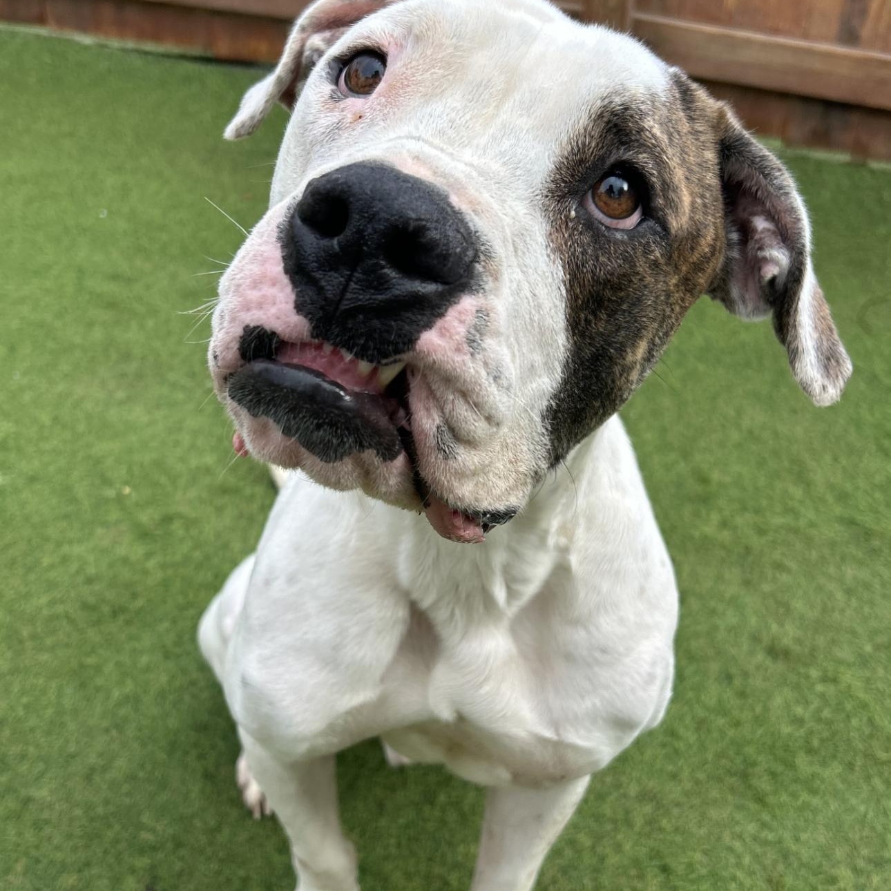 Sebastian thumbnail 6