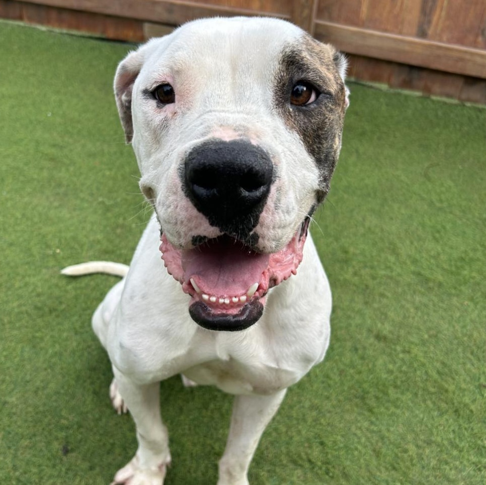 Sebastian thumbnail 7