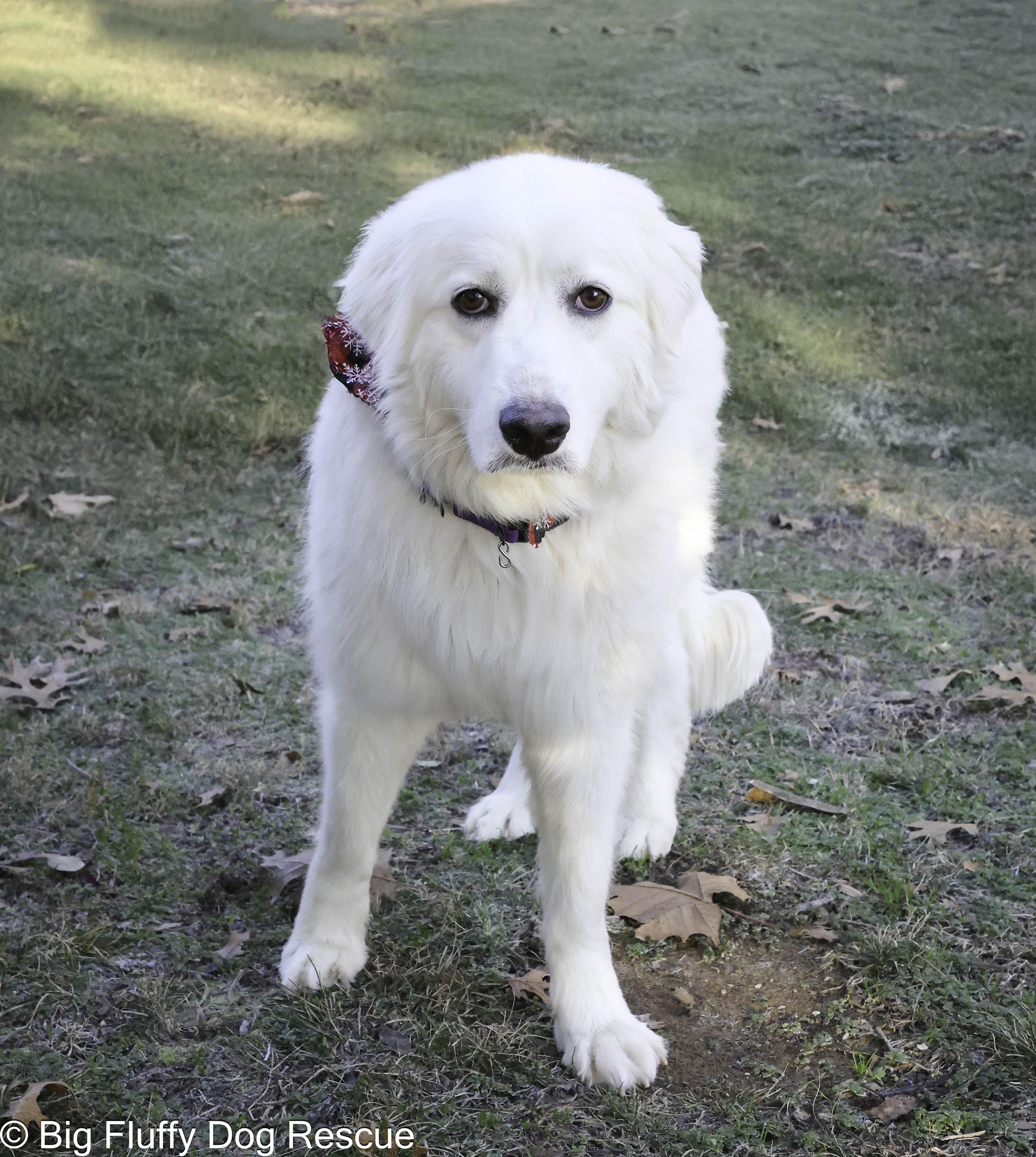 Trinity — thumbnail 2