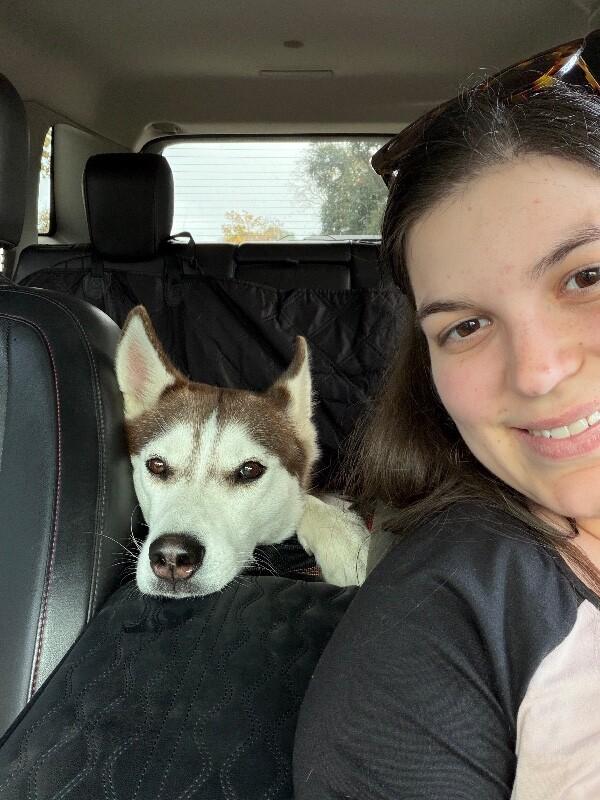 Midnight Dreamboat — thumbnail 2